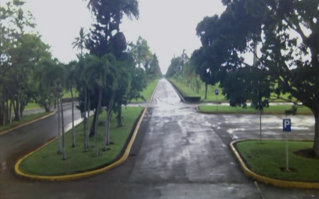 11 grados de distancia