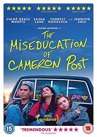 La(des)educacióndeCameronPostCartel