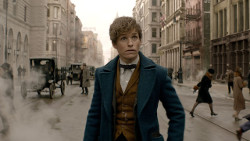 Eddie_Redmayne_Scamander