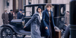 Redmayne_Waterston_Fantastic_Beasts