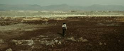 Daniel Tadesse_Crumbs