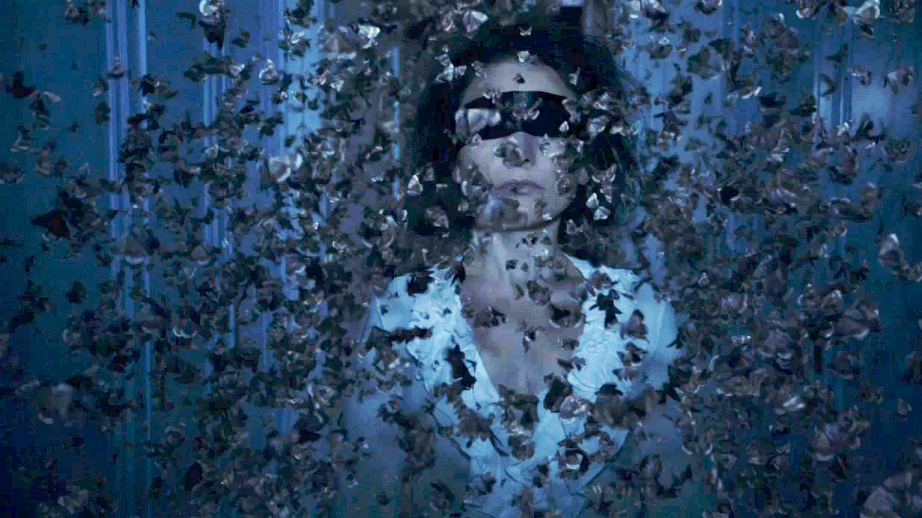 Imagen de The Duke of Burgundy