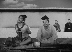 Rashomon88