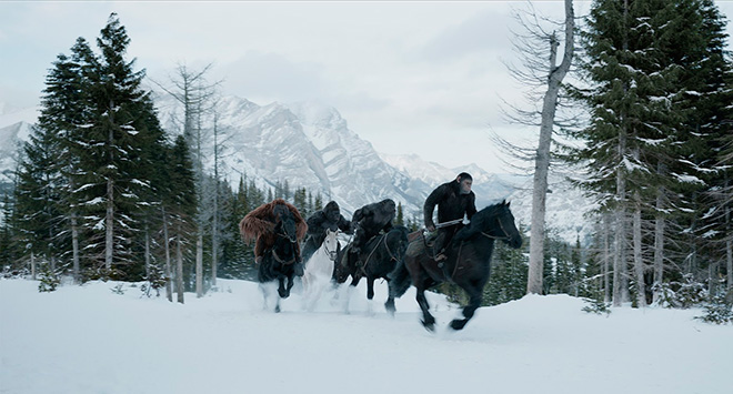 caballos, simios, cesar, nieve