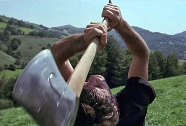 Foto de Vacas