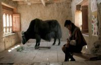 Lunana: A yak in the classroom portada