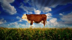 Food Inc 2