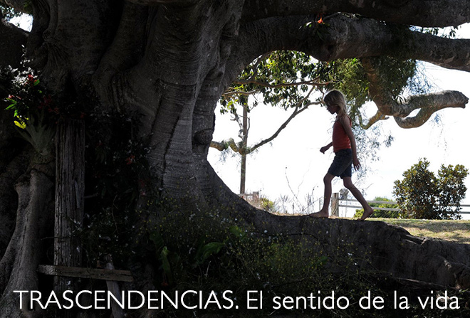 Trascendencias. El sentido de la vida