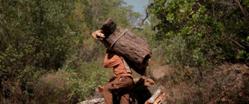Ad ventum_Hacia el viento