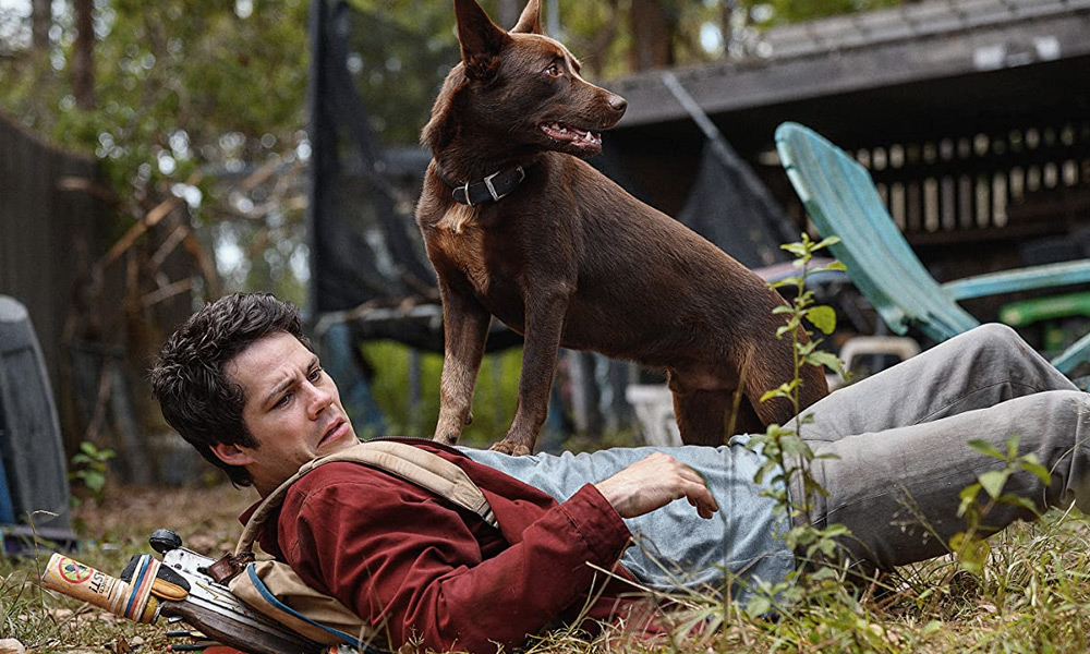 Joel y su perro en De amor y monstruos