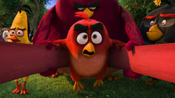 IMagen de Angry birds, la película