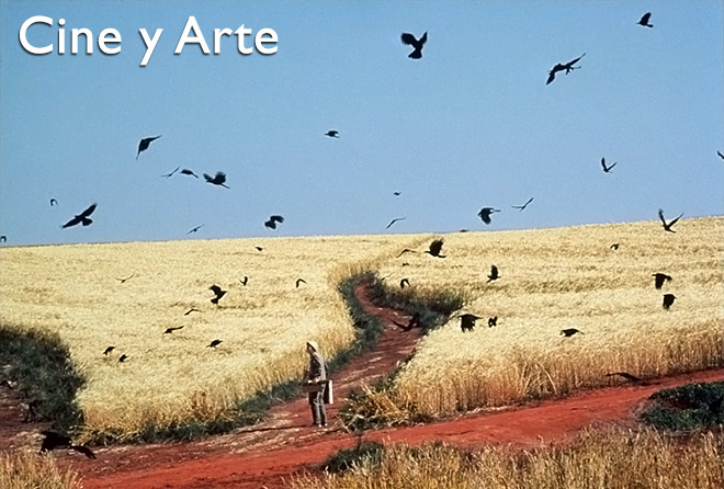 Cine-y-Arte