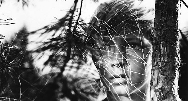 La infancia de Iván fotograma