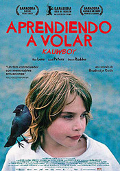 Cartel de la película Aprendiendo a volar