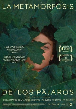 La metamorfosis de los pájaros afiche