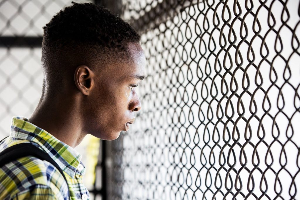 Imagen de Moonlight