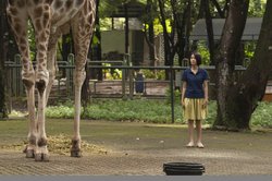 POSTCARDS FROM THE ZOO
