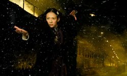 The Grandmaster Zhang Ziyi