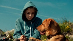 Protagonistas de White God