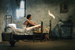 Aniceto