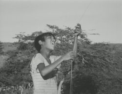 Imagen de la película Araya