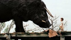 bestias_del_sur_salvaje (3)