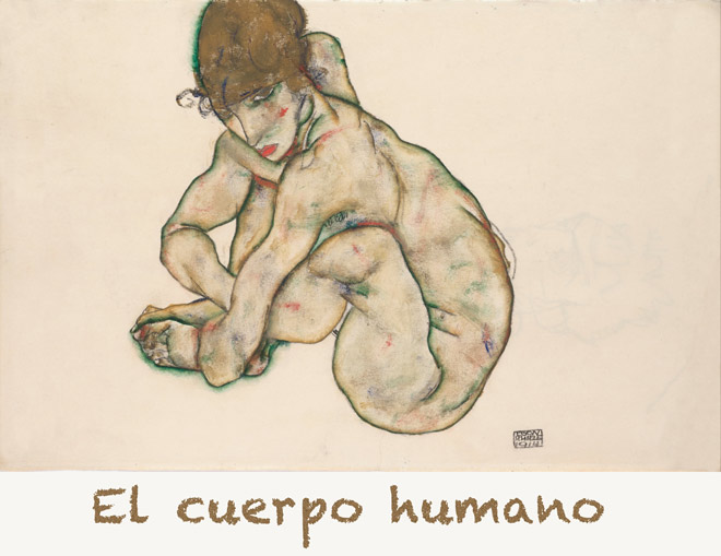 El cuerpo humano