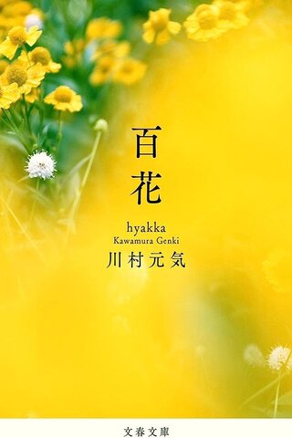 hyakka cartel