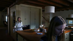 The visit