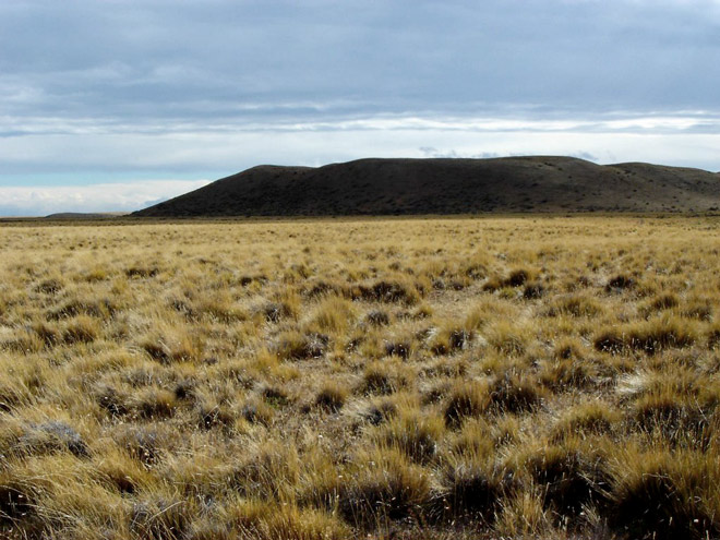 Patagonia