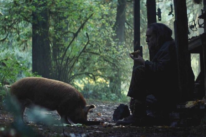 PigFoto3