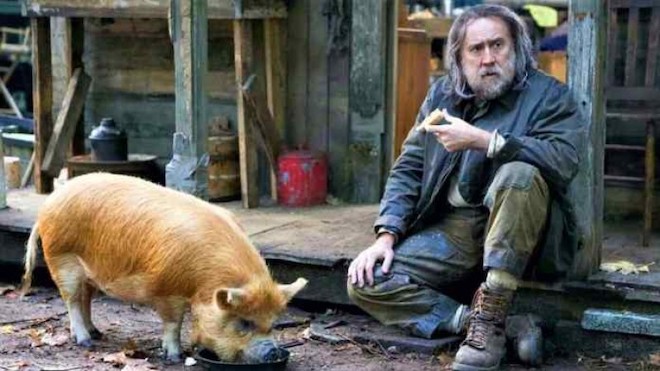 PigFoto1