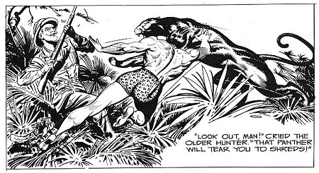 tarzan hoghart
