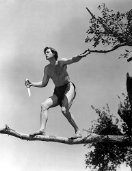 tarzan johnny weissmuller