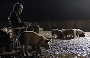 Upstream color fotograma