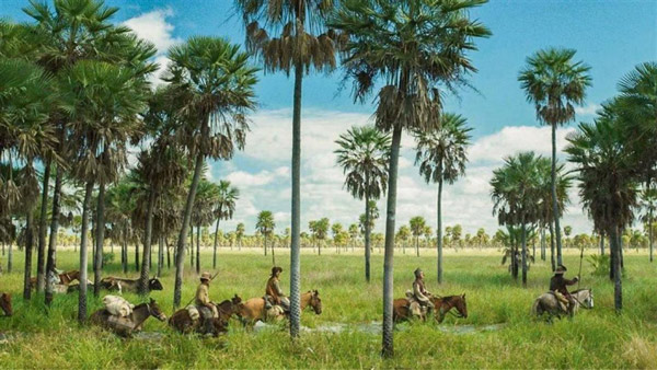 Zama, de Lucrecia Martel