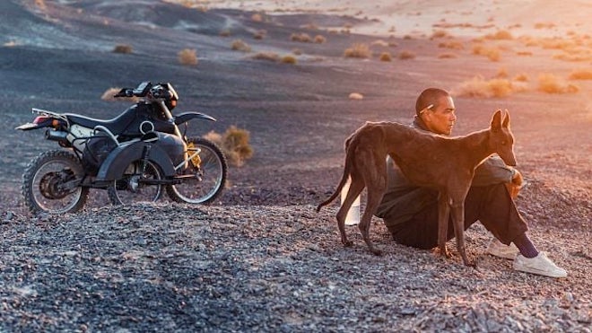 BlackDogFoto3