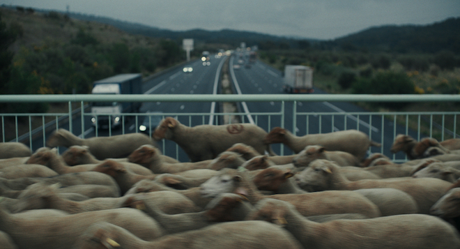 HastalamontañaFoto3