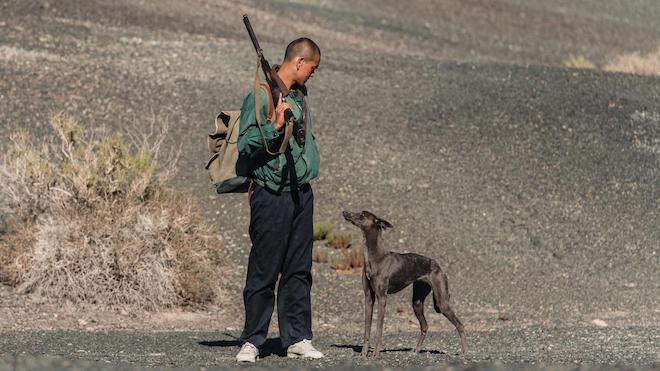 BlackDogFoto2