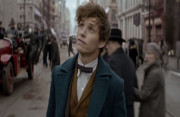 Eddie_Redmayne_Newt_scamander