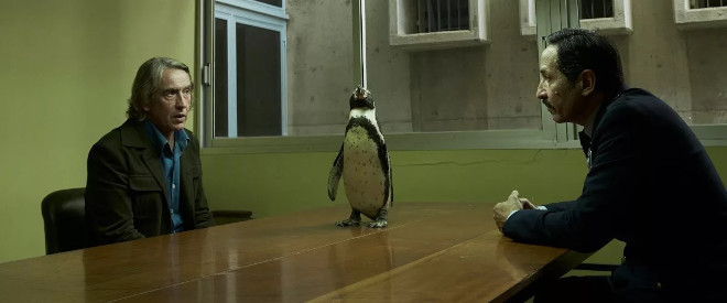 Lecciones de un pingüino fotograma