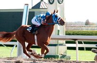 Secretariat