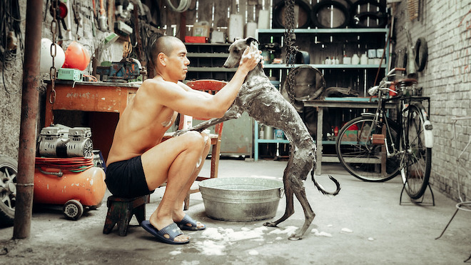 BlackDogFoto1