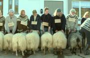 Rams, el valle de los carneros