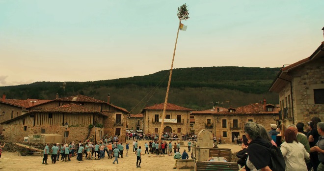 Suerte de pinos