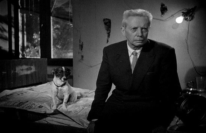 Umberto D., Imagen