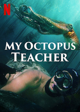 My octopus teacher afiche
