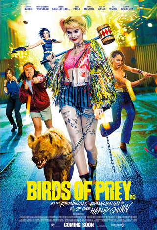 Cartel de la película Aves de presa