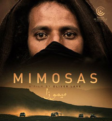 Cartel de la película Mimosas