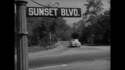 Sunset Blvd.